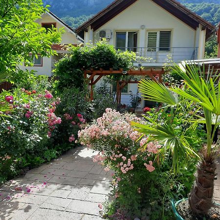 Pension Eden Băile Herculane Dış mekan fotoğraf