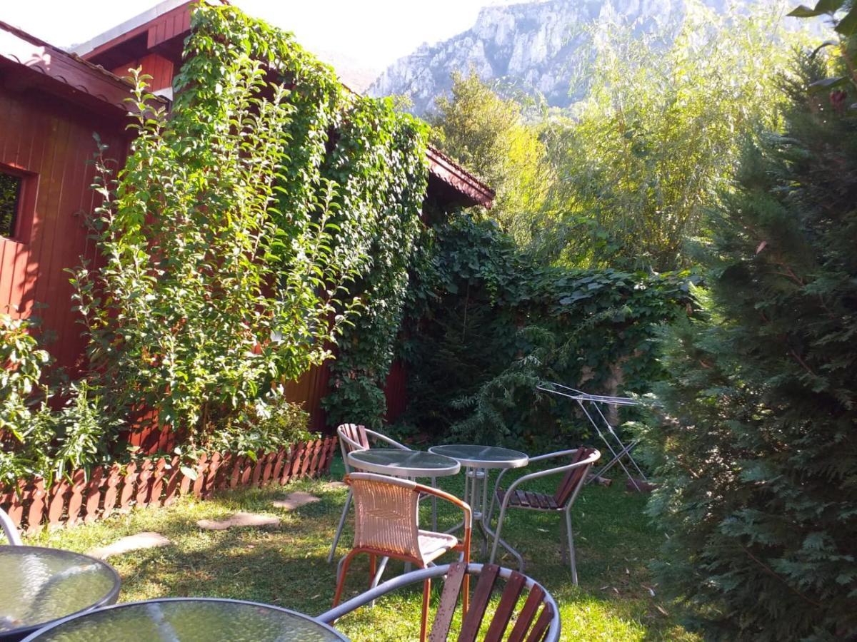 Pension Eden Băile Herculane Dış mekan fotoğraf