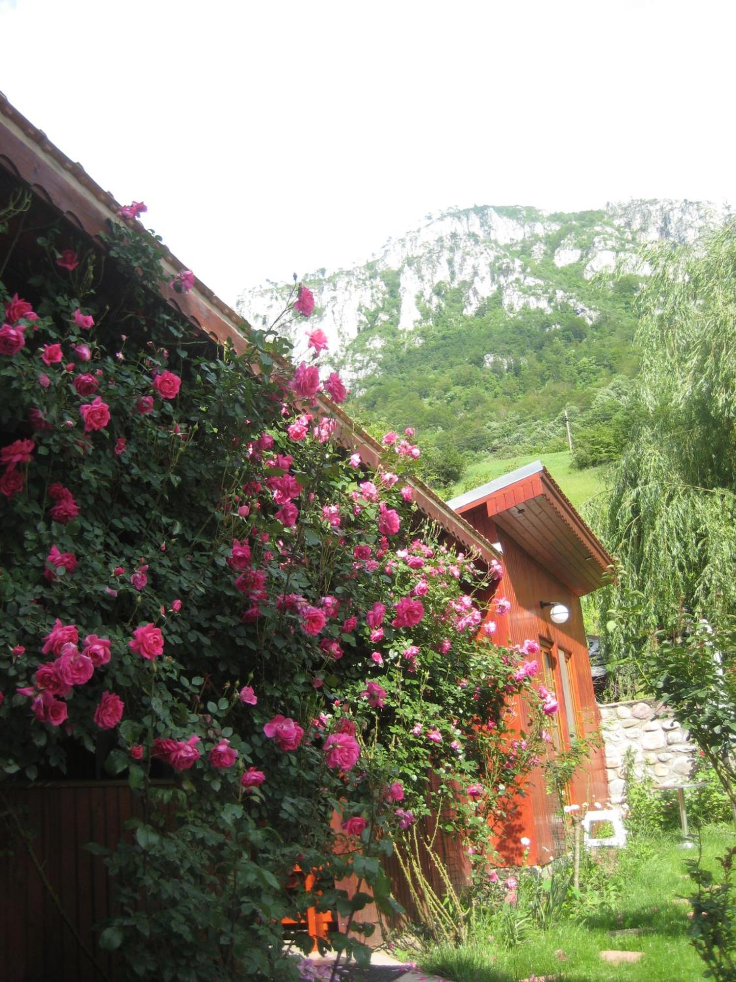 Pension Eden Băile Herculane Dış mekan fotoğraf