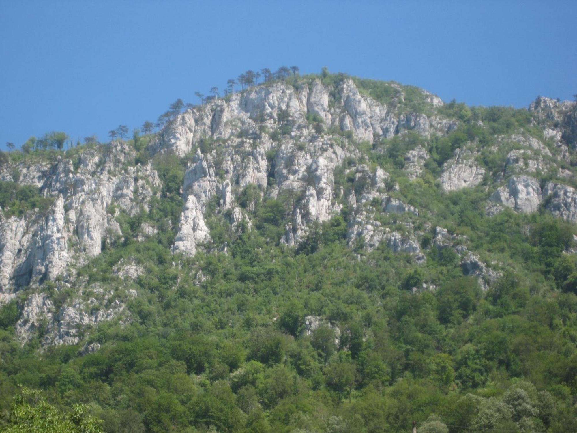 Pension Eden Băile Herculane Dış mekan fotoğraf