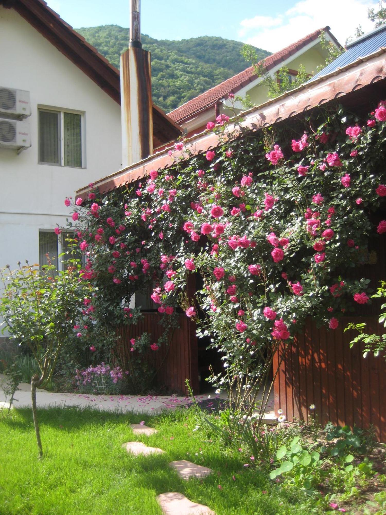 Pension Eden Băile Herculane Dış mekan fotoğraf