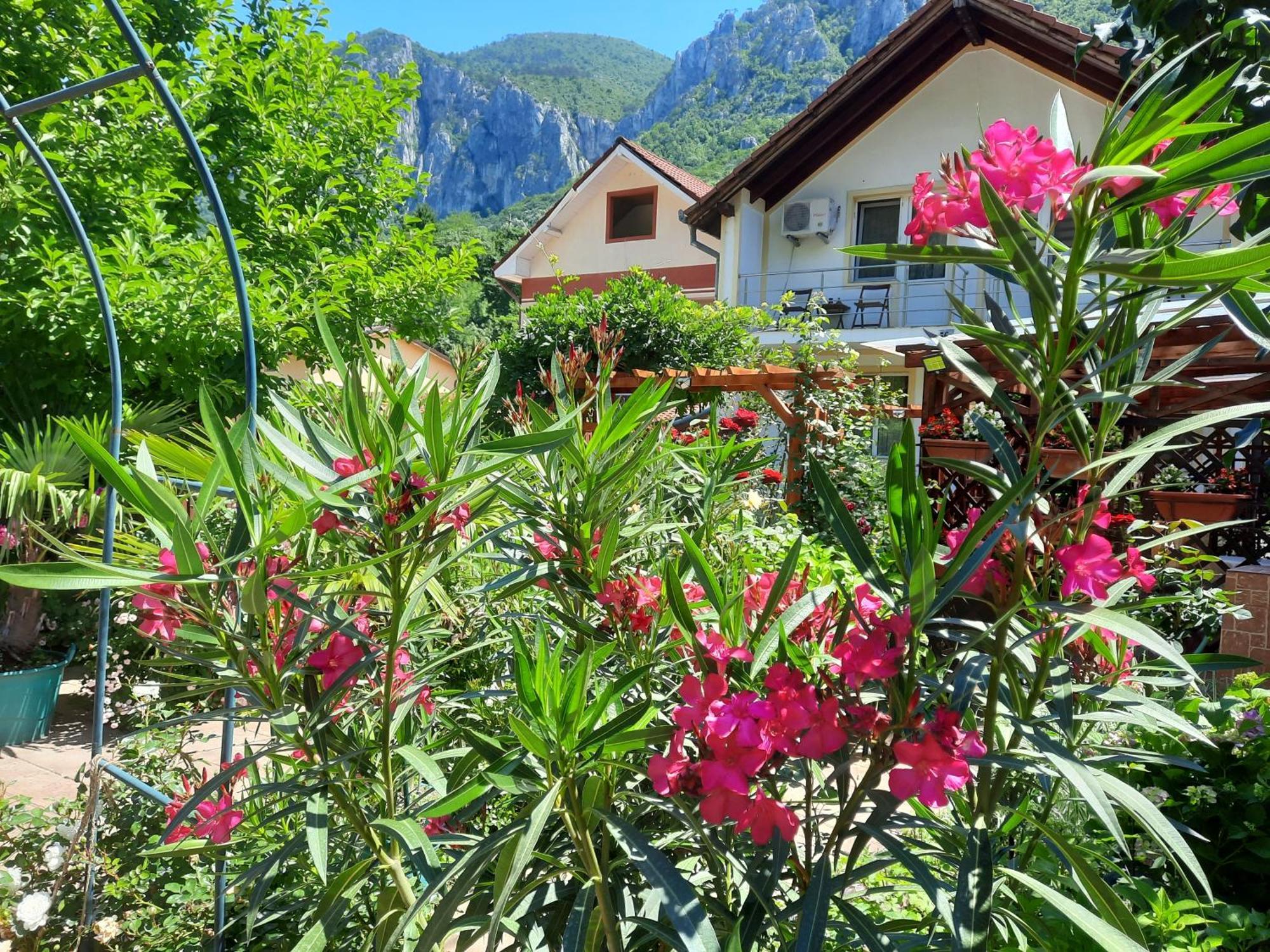 Pension Eden Băile Herculane Dış mekan fotoğraf