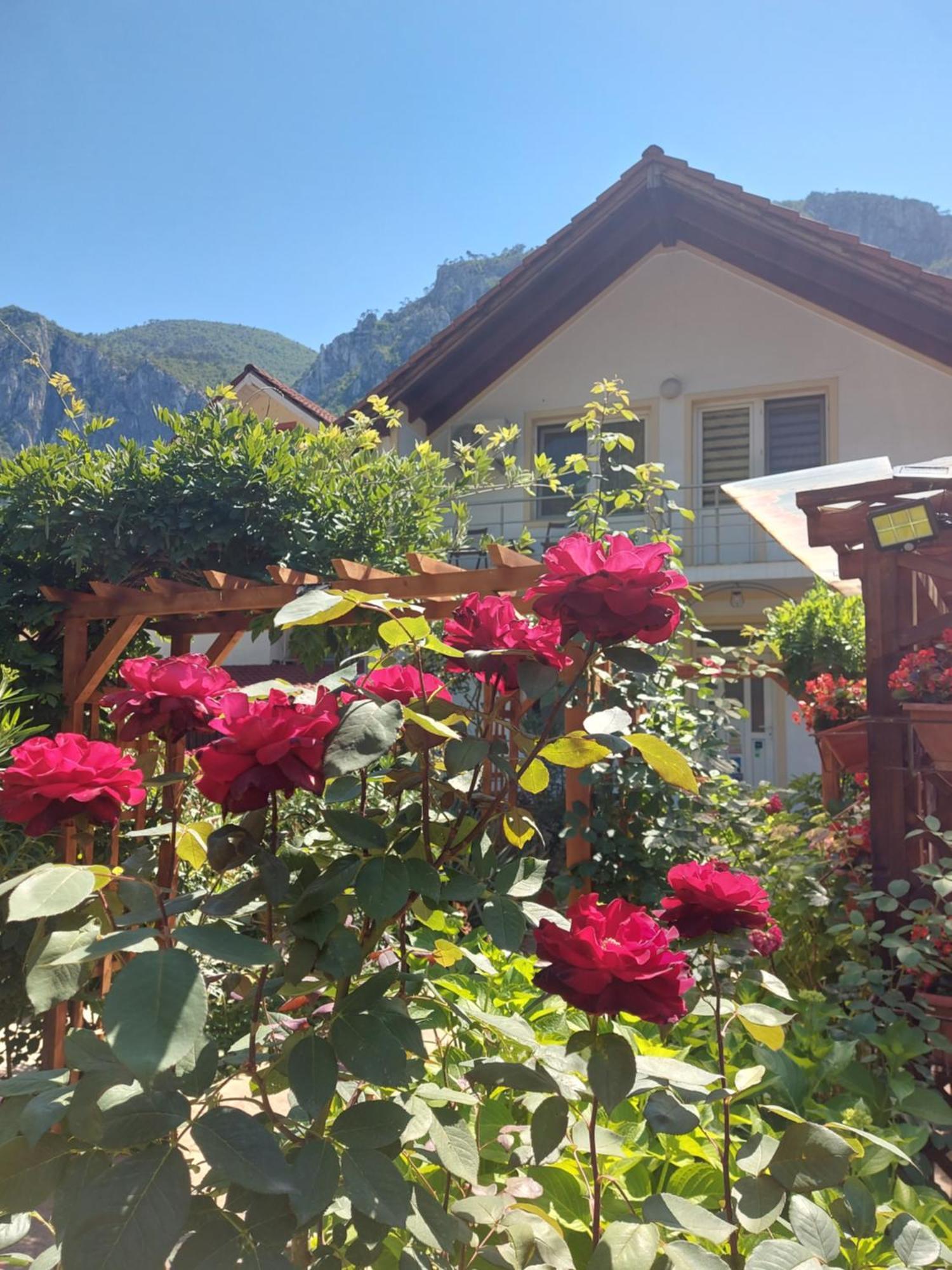 Pension Eden Băile Herculane Dış mekan fotoğraf
