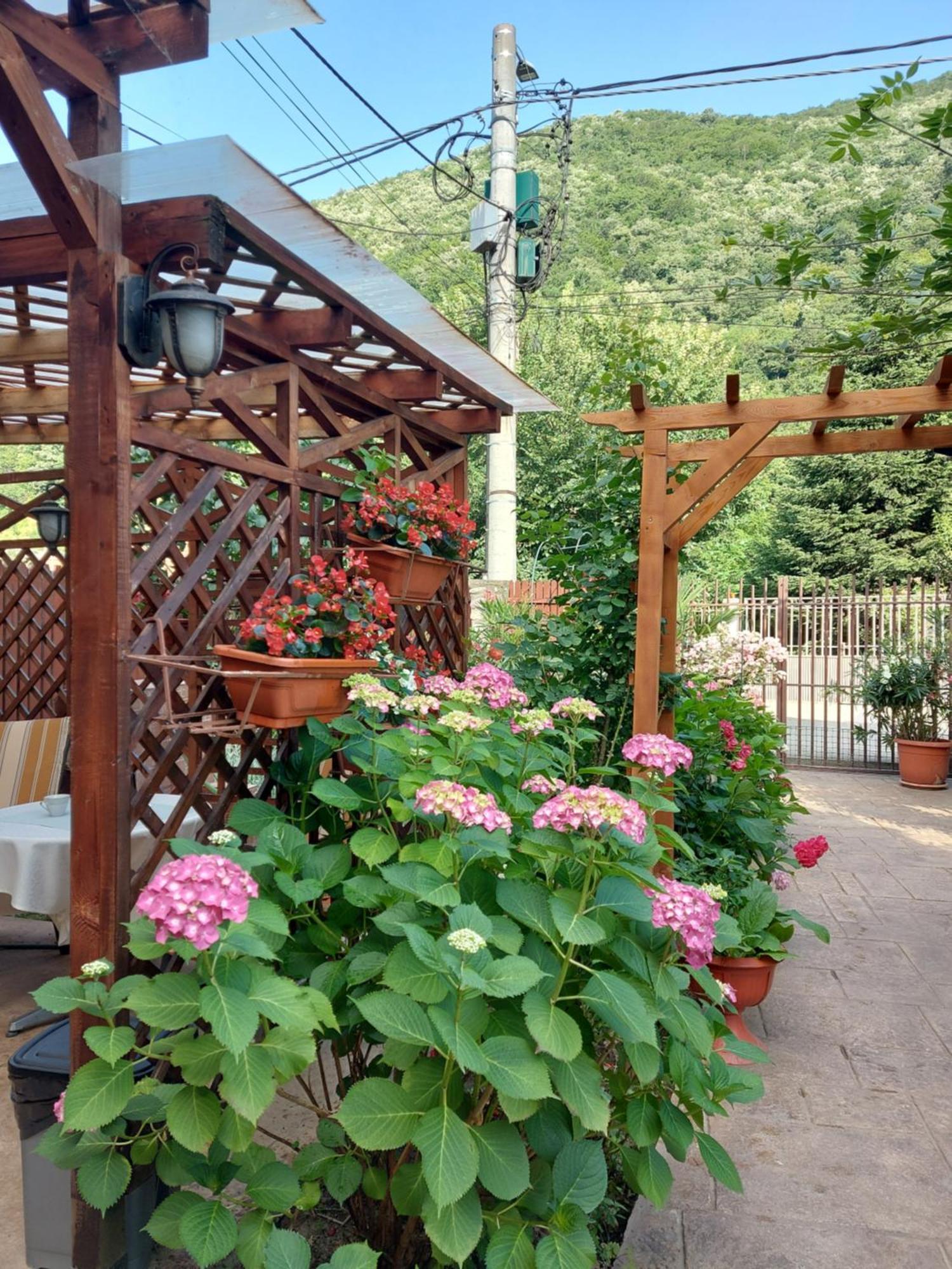Pension Eden Băile Herculane Dış mekan fotoğraf